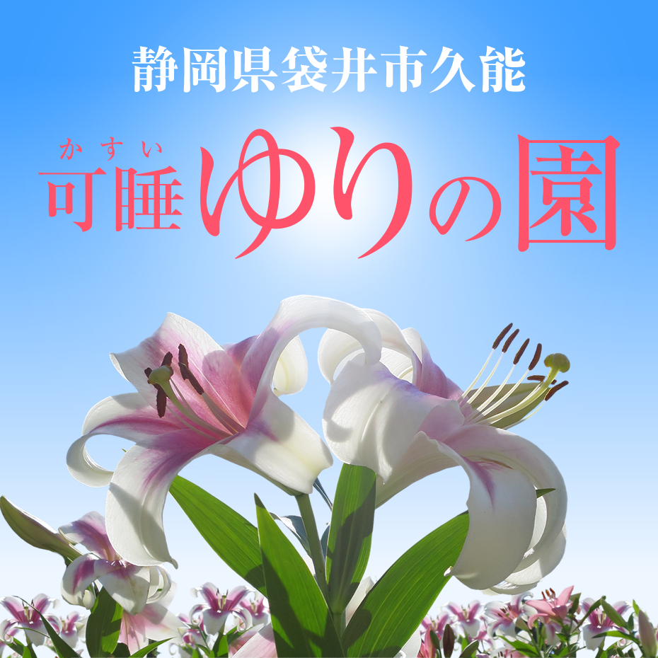 可睡ゆりの園｜3万坪に広がるゆりの競演。静岡県袋井市久能「可