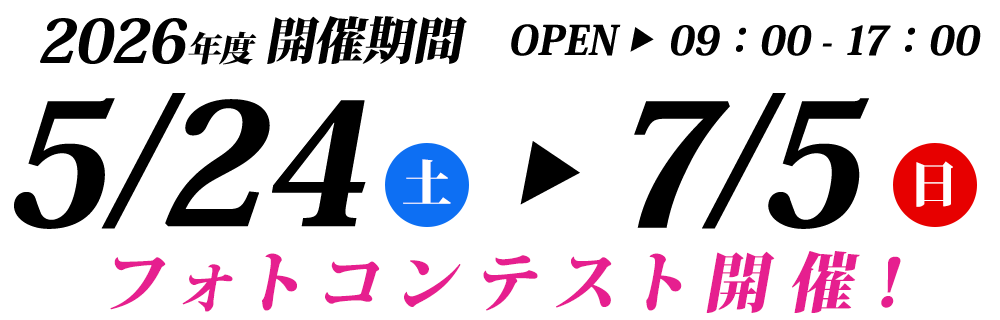 可睡ゆりの園 2026年度開園期間 5月23日（土）～7月5日（日）フォトコンテスト開催！